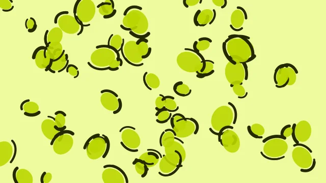 Lime Yellow leopard print background — free HD lime yellow color wallpaper 1920x1080