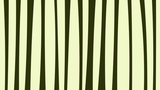 Lime Yellow zebra print background — free HD lime yellow color wallpaper 1920x1080