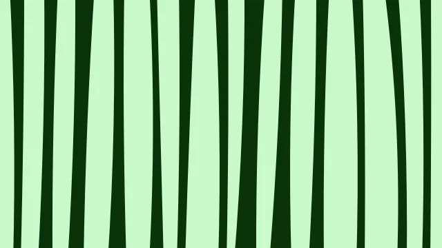 Lime zebra print background — free HD lime color wallpaper 1920x1080