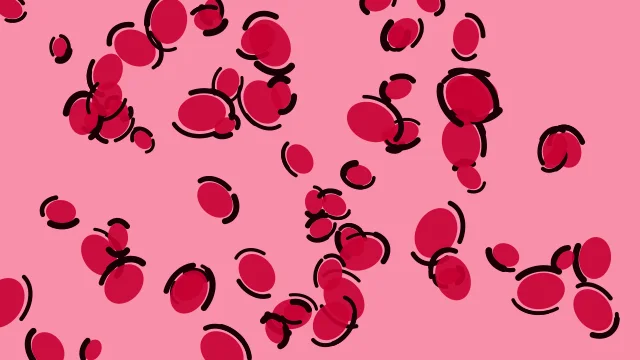 Lipstick Red leopard print background — free HD lipstick red color wallpaper 1920x1080