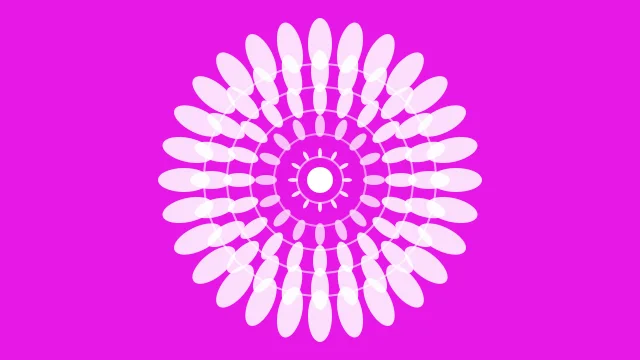 Magenta 100 mandala background — free HD magenta 100 color wallpaper 1920x1080