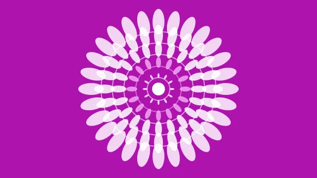 Magenta 200 mandala background — free HD magenta 200 color wallpaper 1920x1080
