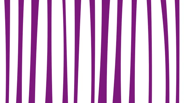 Magenta 300 zebra print background — free HD magenta 300 color wallpaper 1920x1080