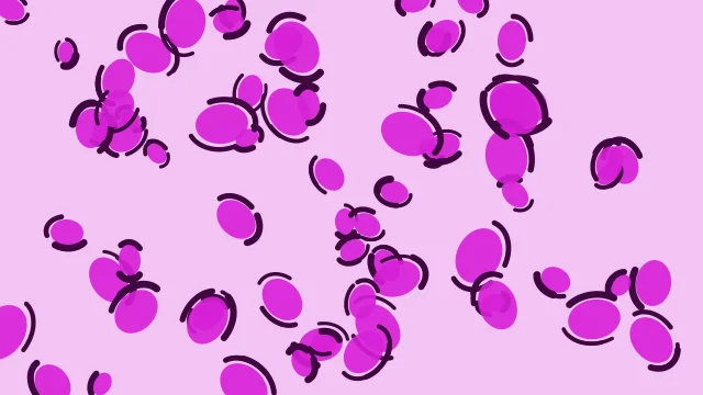 Magenta 400 leopard print background — free HD magenta 400 color wallpaper 1920x1080