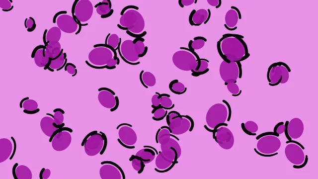 Magenta 500 leopard print background — free HD magenta 500 color wallpaper 1920x1080