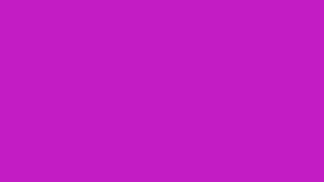 Magenta 500 plain solid background — free HD magenta 500 color wallpaper 1920x1080