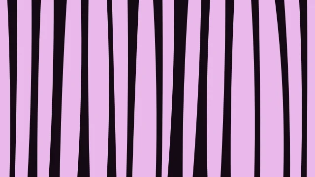 Magenta 500 zebra print background — free HD magenta 500 color wallpaper 1920x1080