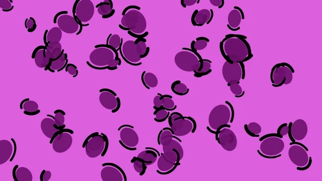 Magenta 600 leopard print background — free HD magenta 600 color wallpaper 1920x1080