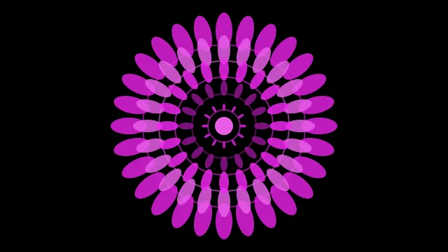 Magenta 600 mandala background — free HD magenta 600 color wallpaper 1920x1080