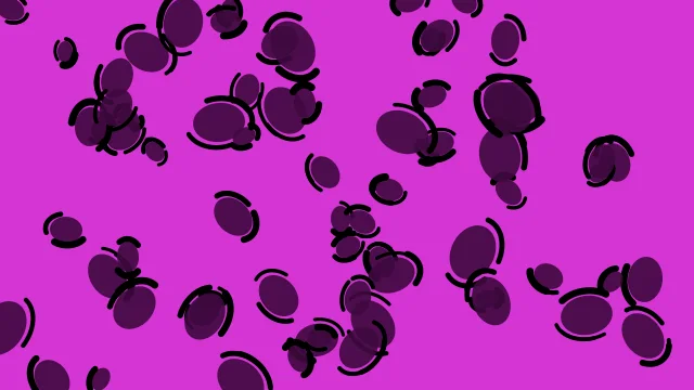 Magenta 700 leopard print background — free HD magenta 700 color wallpaper 1920x1080
