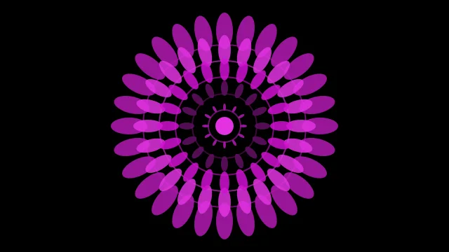 Magenta 700 mandala background — free HD magenta 700 color wallpaper 1920x1080