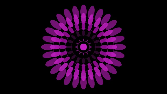 Magenta 800 mandala background — free HD magenta 800 color wallpaper 1920x1080
