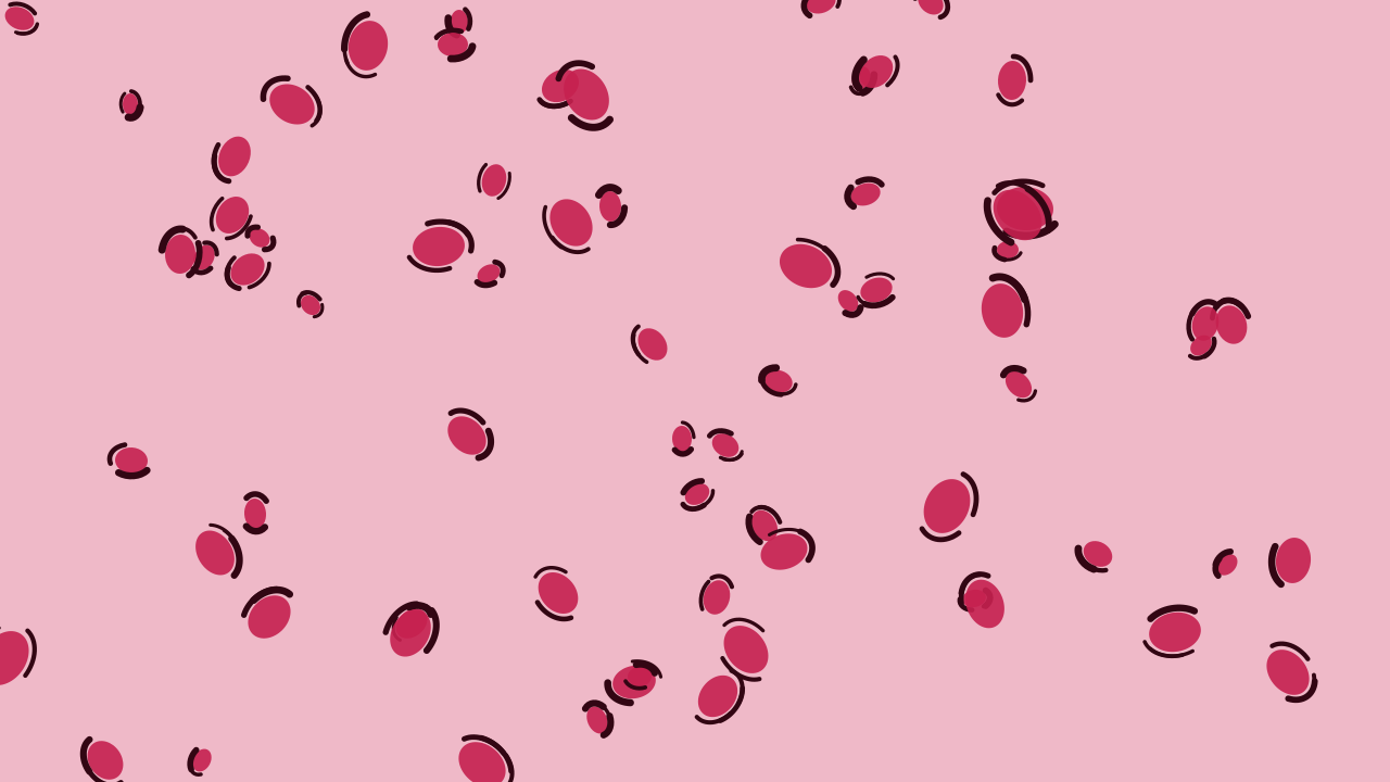 Magenta Bloom leopard print background — free HD magenta bloom color wallpaper 1920x1080
