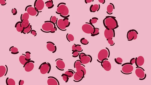 Magenta Bloom leopard print background — free HD magenta bloom color wallpaper 1920x1080