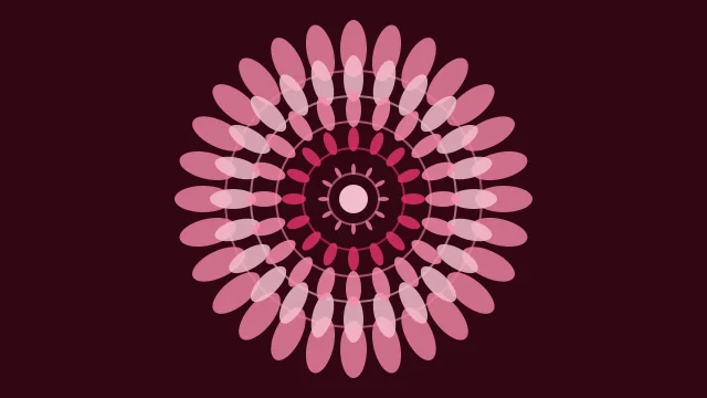 Magenta Bloom mandala background — free HD magenta bloom color wallpaper 1920x1080