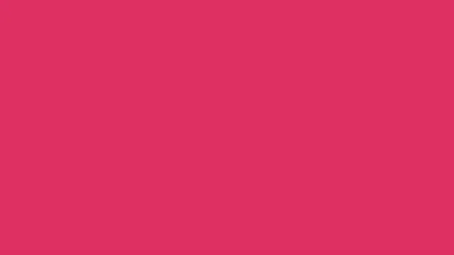 Magenta Bloom plain solid background — free HD magenta bloom color wallpaper 1920x1080