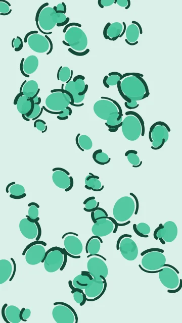Medium Aqua Marine leopard phone wallpaper — free HD medium aqua marine mobile wallpaper 1080x1920