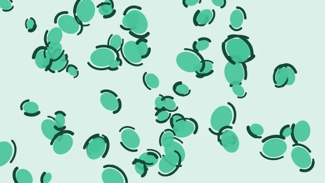 Medium Aqua Marine leopard print background — free HD medium aqua marine color wallpaper 1920x1080