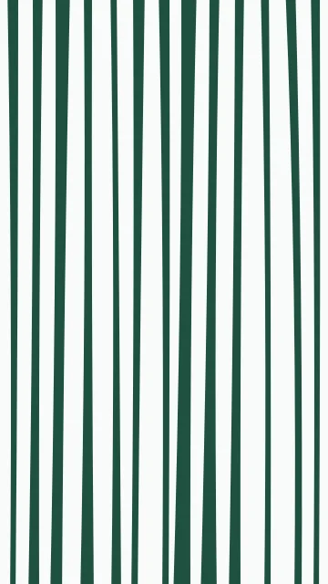 Medium Aqua Marine zebra phone wallpaper — free HD medium aqua marine mobile wallpaper 1080x1920