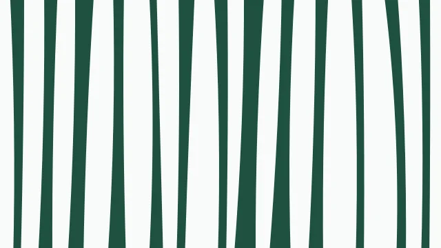 Medium Aqua Marine zebra print background — free HD medium aqua marine color wallpaper 1920x1080