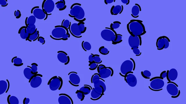 Medium Blue leopard print background — free HD medium blue color wallpaper 1920x1080