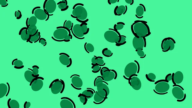 Medium Jungle leopard print background — free HD medium jungle color wallpaper 1920x1080