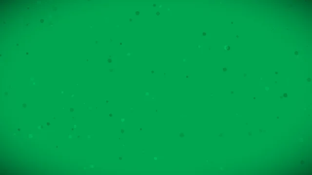 Medium Jungle texture background — free HD medium jungle color wallpaper 1920x1080