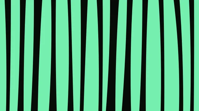 Medium Jungle zebra print background — free HD medium jungle color wallpaper 1920x1080