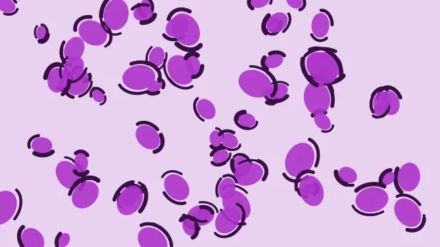 Medium Orchid leopard desktop wallpaper — free 4K medium orchid wallpaper 3840x2160
