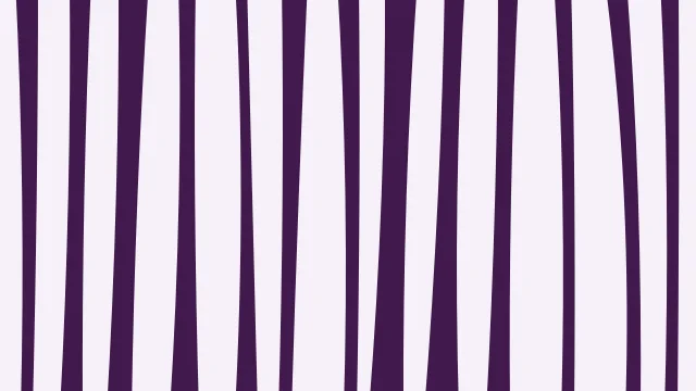 Medium Orchid zebra desktop wallpaper — free 4K medium orchid wallpaper 3840x2160