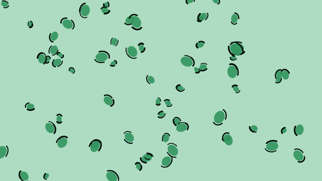 Medium Sea Green leopard print background — free HD medium sea green color wallpaper 1920x1080