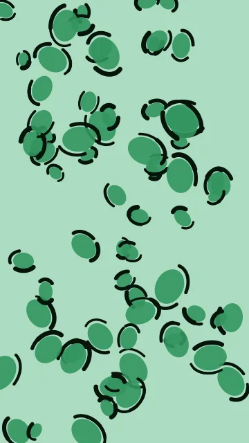 Medium Sea Green leopard phone wallpaper — free HD medium sea green mobile wallpaper 1080x1920