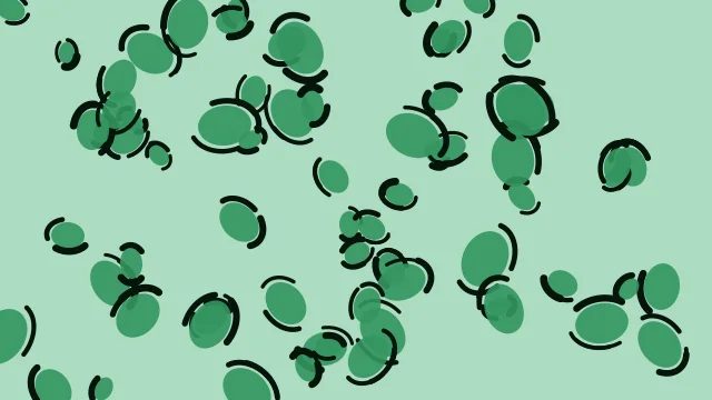 Medium Sea Green leopard print background — free HD medium sea green color wallpaper 1920x1080