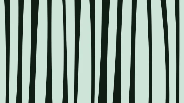Medium Sea Green zebra print background — free HD medium sea green color wallpaper 1920x1080