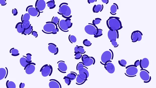 Medium Slate Blue leopard desktop wallpaper — free 4K medium slate blue wallpaper 3840x2160