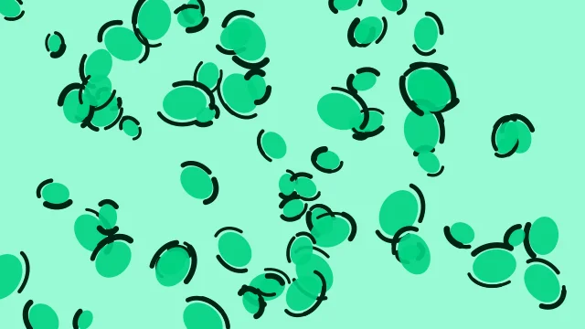 Medium Spring Green leopard desktop wallpaper — free 4K medium spring green wallpaper 3840x2160