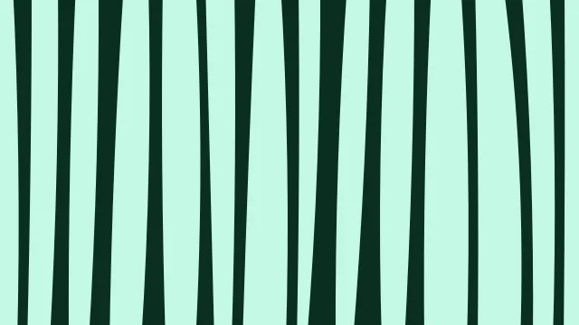 Medium Spring Green zebra desktop wallpaper — free 4K medium spring green wallpaper 3840x2160