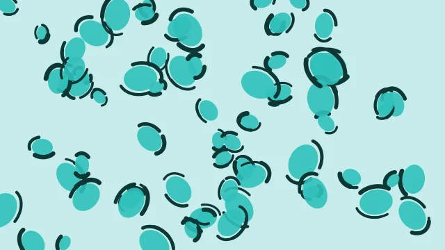 Medium Turquoise leopard print background — free HD medium turquoise color wallpaper 1920x1080
