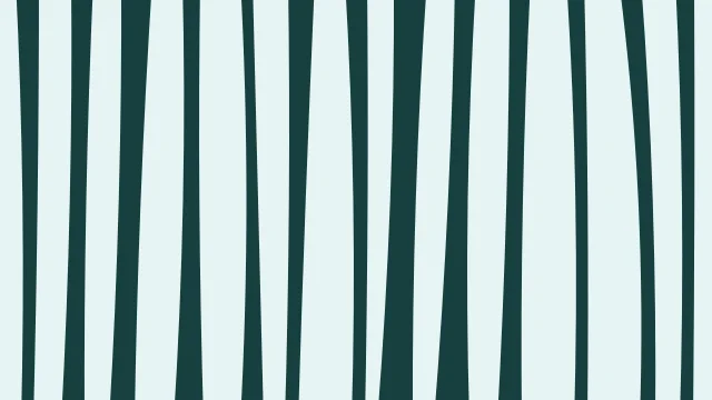 Medium Turquoise zebra print background — free HD medium turquoise color wallpaper 1920x1080