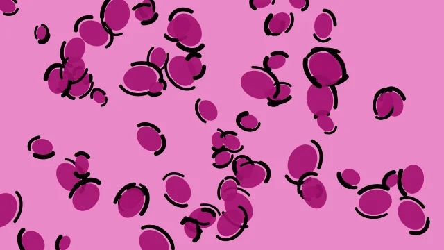 Medium Violet Red leopard print background — free HD medium violet red color wallpaper 1920x1080
