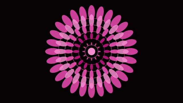 Medium Violet Red mandala background — free HD medium violet red color wallpaper 1920x1080