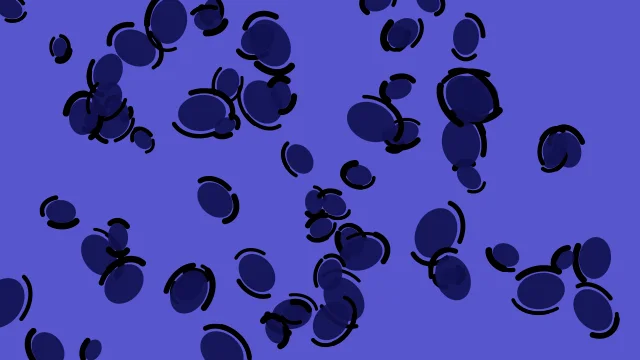 Midnight Blue leopard desktop wallpaper — free 4K midnight blue wallpaper 3840x2160