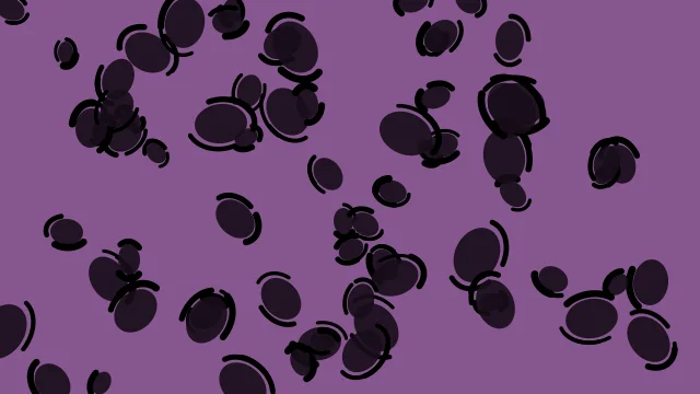 Midnight Violet leopard print background — free HD midnight violet color wallpaper 1920x1080