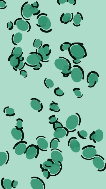 Mint Leaf leopard phone wallpaper — free HD mint leaf mobile wallpaper 1080x1920