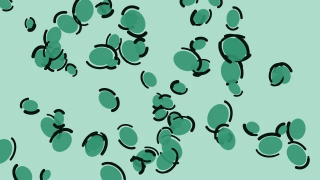 Mint Leaf leopard print background — free HD mint leaf color wallpaper 1920x1080