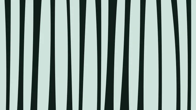 Mint Leaf zebra print background — free HD mint leaf color wallpaper 1920x1080