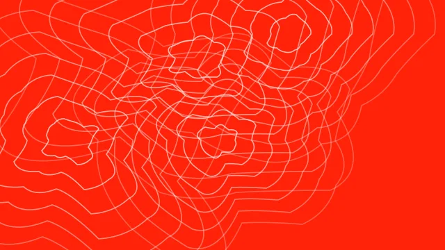 Misty Rose topographic desktop wallpaper — free 4K misty rose wallpaper 3840x2160