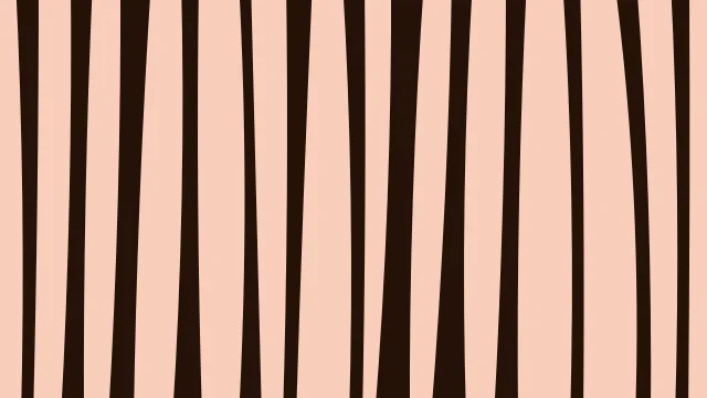 Molten Orange zebra print background — free HD molten orange color wallpaper 1920x1080