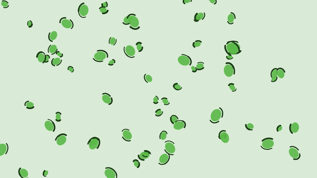 Moss Green leopard print background — free HD moss green color wallpaper 1920x1080