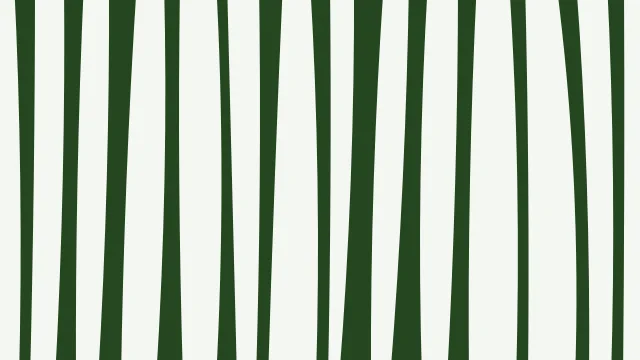 Moss Green zebra desktop wallpaper — free 4K moss green wallpaper 3840x2160